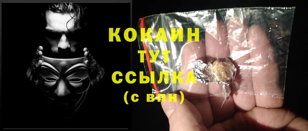 стаф Пестово