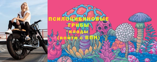 jwh Осинники