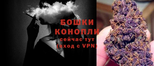 марки lsd Пересвет