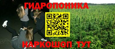 амф Аргун